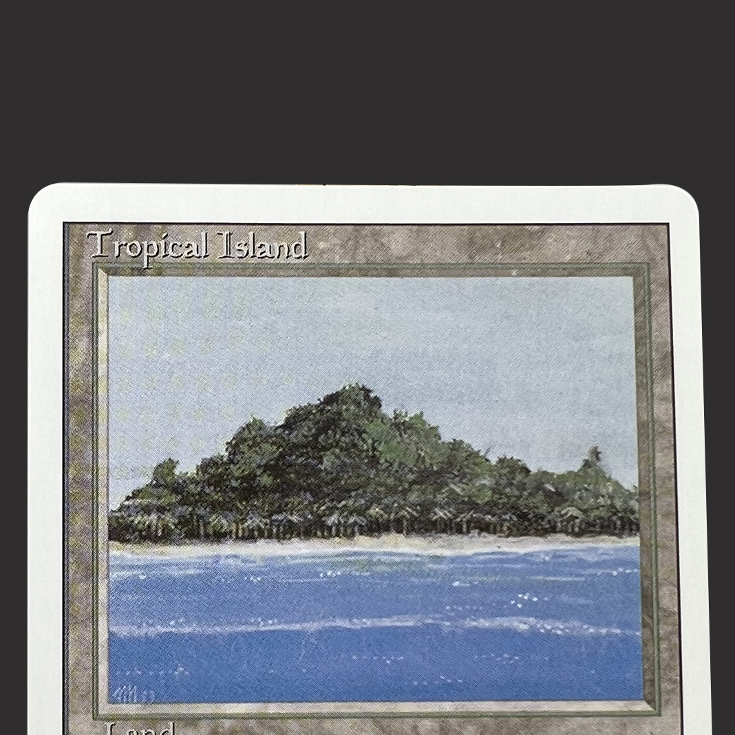 Dual Lands Revised Badlands Ba - Board Game Dots reseña y precio
