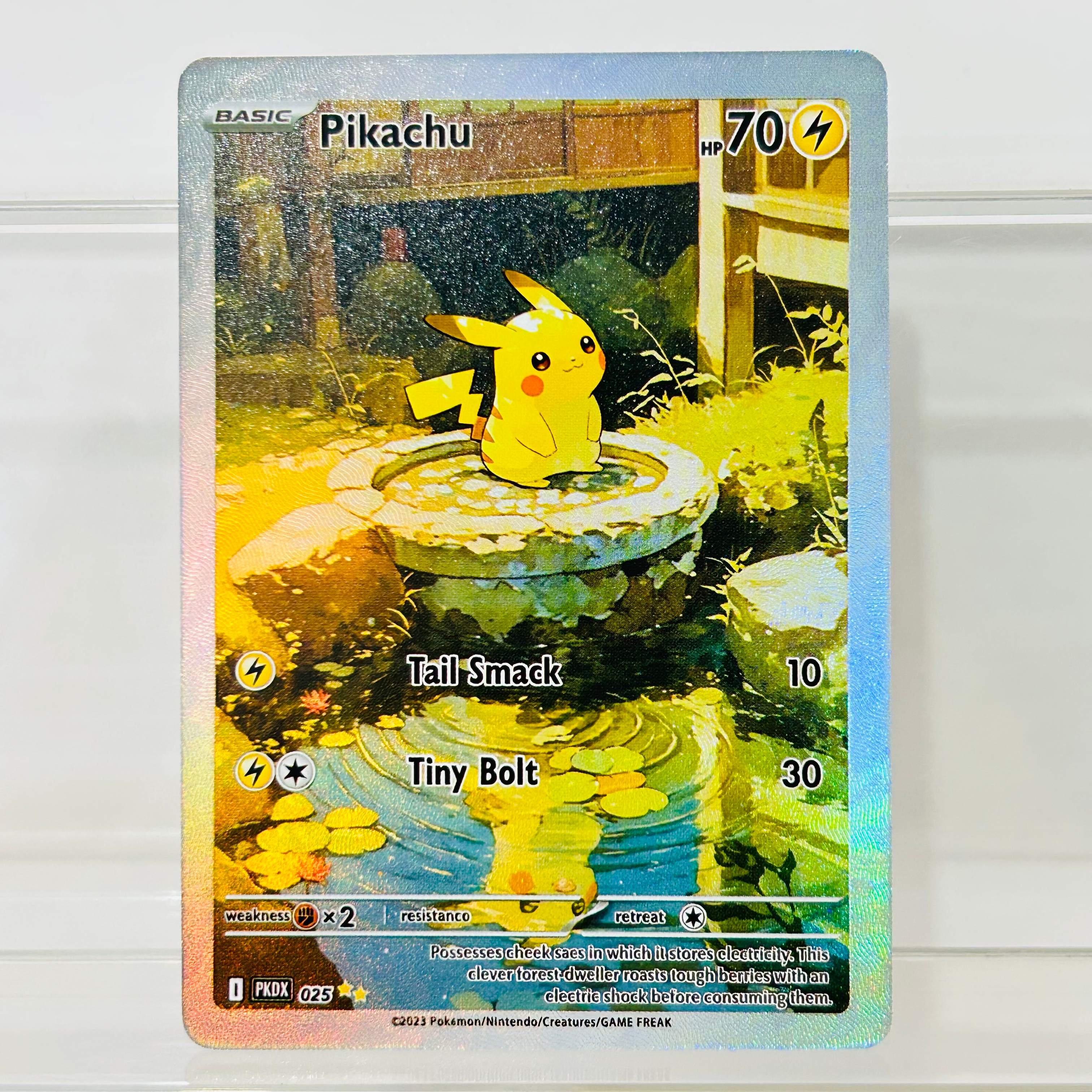 Tarjetas Coleccionables de Ani - Board Game English reseña y precio